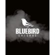 blue-bird-shishas-barcelona-tienda-de-cachimbas-pods-y-vapers