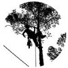 arboricultura-pere-tella