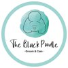 the-black-poodle-grooming-care