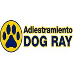 adiestramiento-canino-dog-ray