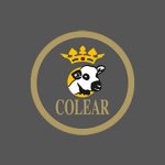 colear-castilla-leon-s-coop