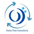 vision-flow-consultoria